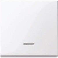 Merten Wippe Kontr.Fenster aws/gl f.Schal.Tast.Einsatz 436025 von Merten