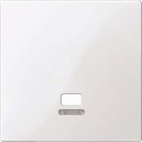 Merten Zentralplatte Zugsch.pwsgl Kontrollfenster MEG3380-0319 Merten Zentralplatte Zugsch.pwsgl Kontrollfenster MEG3380-0319 von Merten