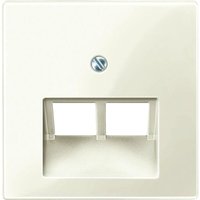 Zentralplatte uae/iae 2-fach weiß glänzend System m 296144 Schraubbef - Merten von Merten