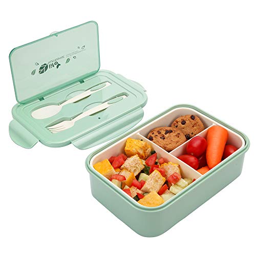 1000 ml Brotdose für Kinder Und Erwachsene, Wiederverwendbarer Bento Box Lunchbox mit 3 Fächern und Besteck, Vesperdose Mikrowelle Heizung (Grün) von Merysen