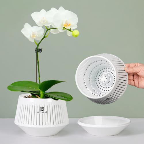 Meshpot 12 cm Orchideentöpfe mit Löchern zum Umtopfen, 2er-Set, dekorative Orchideen-Pflanzgefäße mit Air-Pruning und guter Luftzirkulation, weiße Orchideenbehälter aus Kunststoff mit Untersetzern von Meshpot