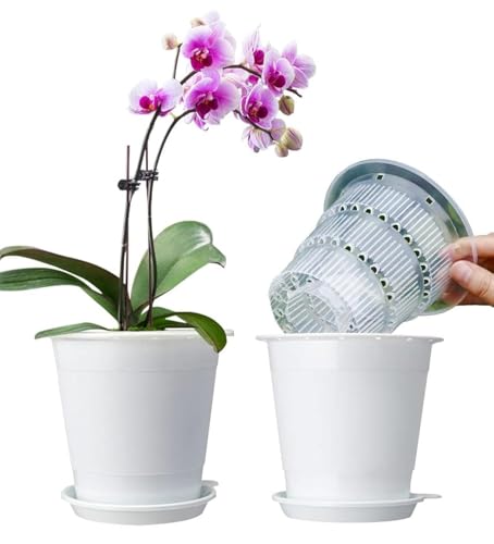 Meshpot Transparente Orchideentöpfe mit Löchern, 10,2 cm, passend zu weißen Kunststoff-Orchideen-Pflanzgefäßen, 2er-Set, doppellagige Pflanztöpfe, eigene wissenschaftliche Wurzeltechnologie von Meshpot