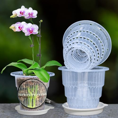 Meshpot Transparente Orchideentöpfe mit Löchern und Untersetzern zum Umtopfen, kleine Kunststoff-Orchideen-Pflanzgefäße Sorgen für Gute Luftzirkulation, Pflanztöpfe für Sukkulenten, Kräuter, Aloe, von Meshpot