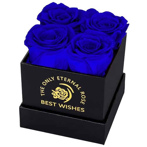 MestectPET Rosenbox mit 4 Infinity Rosen, Blau Ewige Rose Konservierte Blumen Geschenkbox, Valentinstag Muttertag Geburtstag Hochzeitstag Geschenke Für Mutter Freundin Ehefrau Oma Frauen von MestectPET