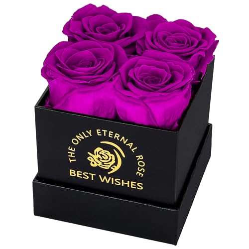 MestectPET Rosenbox mit 4 Infinity Rosen, Lila Ewige Rose Konservierte Blumen Geschenkbox, Valentinstag Muttertag Geburtstag Hochzeitstag Geschenke Für Mutter Freundin Ehefrau Oma Frauen von MestectPET