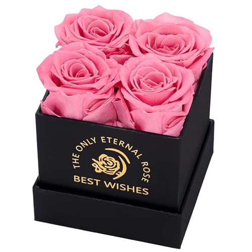 MestectPET Rosenbox mit 4 Infinity Rosen, Rosa Ewige Rose Konservierte Blumen Geschenkbox, Valentinstag Muttertag Geburtstag Hochzeitstag Geschenke Für Mutter Freundin Ehefrau Oma Frauen von MestectPET