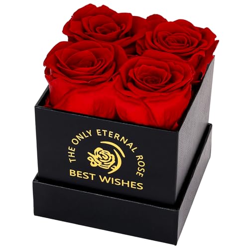 MestectPET Rosenbox mit 4 Infinity Rosen, Rot Ewige Rose Konservierte Blumen Geschenkbox, Valentinstag Muttertag Geburtstag Hochzeitstag Geschenke Für Mutter Freundin Ehefrau Oma Frauen von MestectPET