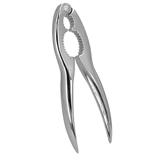 Metaltex Nussknacker von Metaltex