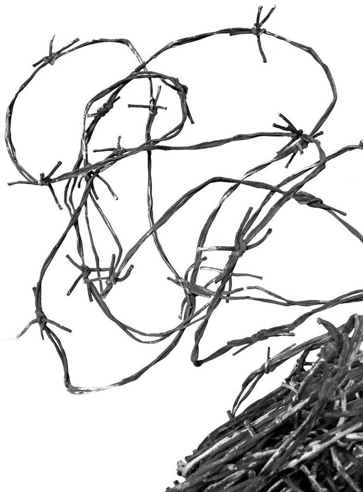 Metamorph Dekoobjekt Deko Stacheldraht aus Kunststoff 10 m von Metamorph