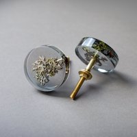 Grauer Durchsichtiger Eleganter Skulpturaler Möbelknopf Mit Echtem Getrocknetem Baumrindenmoos von MetsikPintsel