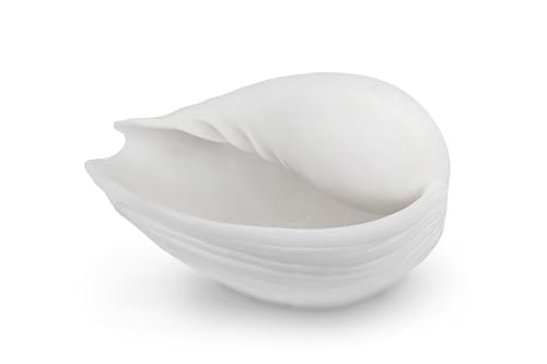 Mette Ditmer Conch Shell, small W19,5 x L14,5 x H11,5 cm Off-White von Mette Ditmer