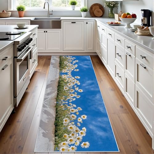 Meugesoi Gänseblümchen Blauer Himmel Teppich Flur Läufer Natur Scenery Teppichläufer Küchenläufer Carpet rutschfest Waschbar für Bettvorleger Flur Küche Waschküche 80 X 180 cm Meugesoi Gänseblümchen Blauer Himmel Teppich Flur Läufer Natur Scenery Teppichläufer Küchenläufer Carpet rutschfest Waschbar für Bettvorleger Flur Küche Waschküche 80 X 180 cm von Meugesoi