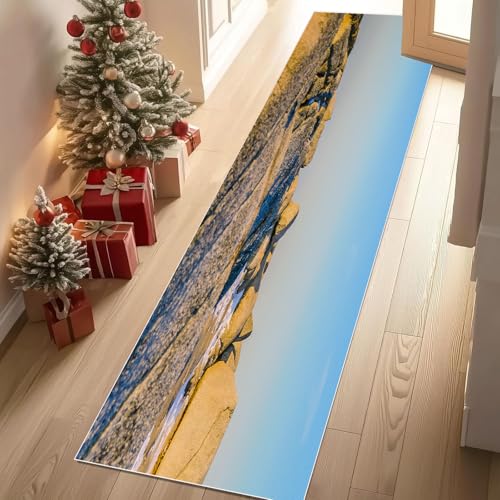 Meugesoi Natur Landschaft Teppich Läufer rutschfest Waschbar 80x300 cm, Himmel Felsen Flurteppich Küchenteppich Teppichläufer für Bettvorleger Wohnraum Flur Waschküche von Meugesoi