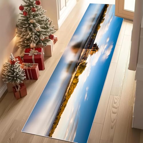 Meugesoi Natur Scenery Teppich Läufer rutschfest Waschbar 80x300 cm, Orientalisch Architektur Flurteppich Küchenteppich Teppichläufer für Bettvorleger Wohnraum Flur Waschküche von Meugesoi