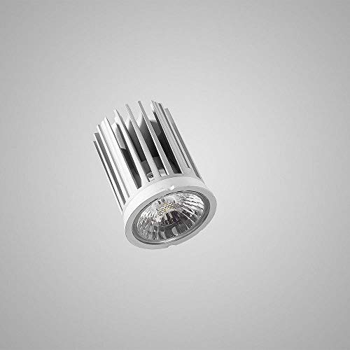 LED Module Strahler Genius D50-38 9W 850 Tagweiß von Mextronic