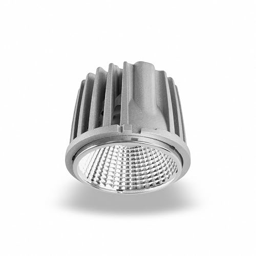 LED Module Strahler Genius D82-36 bis 20W 850 Tagweiß von Mextronic