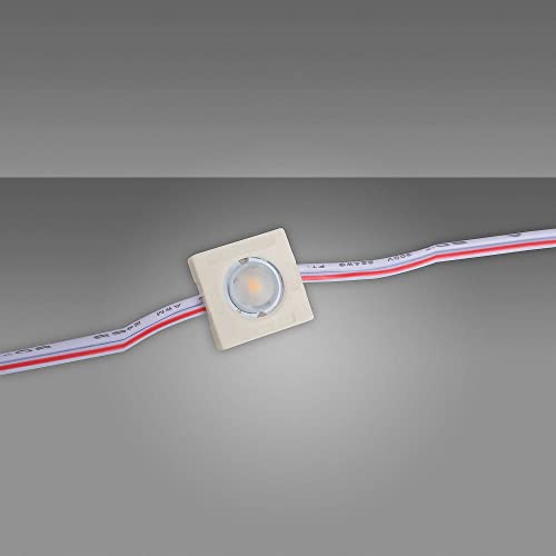 Mextronic LED-Module-Set : 20x 1er LED Power Module HL01 0.36W 6500K 12V IP65 von Mextronic