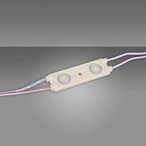 Mextronic LED-Module-Set : 20x 2er LED Power Module HL02 0.72W 6500K 12V IP65 Mextronic LED-Module-Set : 20x 2er LED Power Module HL02 0.72W 6500K 12V IP65 von Mextronic