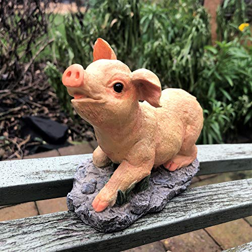 Mezzaluna Gifts Garten Deko Terrasse Teich Tier Ornament Küken | Hund | Kaninchen (Schwein), Mehrfarbig, Einheitsgröße von Mezzaluna Gifts