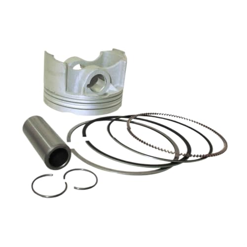 62 mm Kolbenkit kompatibel mit 4 Ventilen 150ccm Motoren FLX FDX Fe Motor Anima Style 62 mm Kolbenkit kompatibel mit 4 Ventilen 150ccm Motoren FLX FDX Fe Motor Anima Style von MfsREv