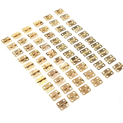 Mgoodoo 60 Stück Mini Scharniere Gold Edelstahl Kleine Scharniere Klavierband Mini Steckverbinder Schublade Butt Scharniere mit Ersatz Goldene Scharnierschrauben von Mgoodoo