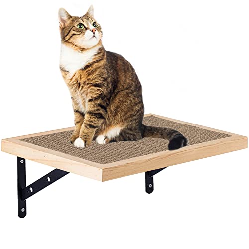 Katzenliege Kratzbrett für Wandmontage WandliegeSisal Scratching Pad Katzenspielzeug Katzenhängematte Katzenbett mit unteren Stützen aus Metall Stabiler von MiDube