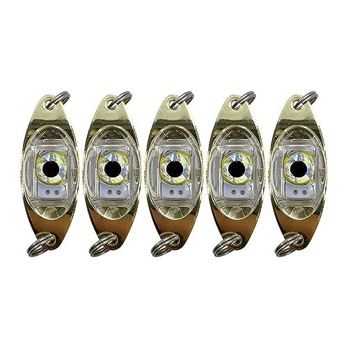 5 Teiliges LED Angelköder Licht, Tiefes Tropfen Angellicht, Angellöffel Diamantlichter Schleppköder Unterwasser Angeln Blinklicht für Salzwasser und Süßwasser von MiOYOOW