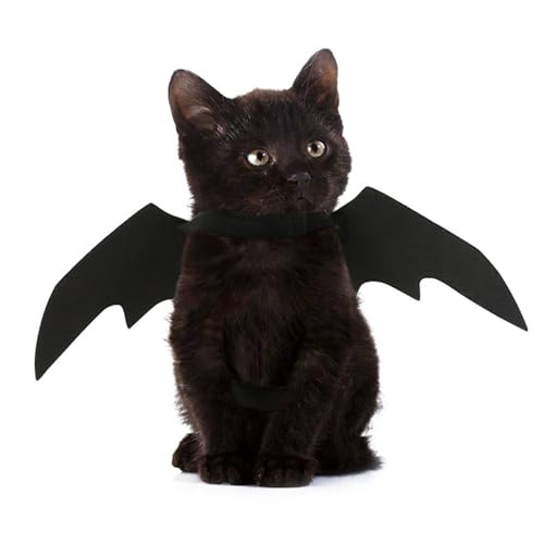 Katze Halloween Kostüm, Haustier Fledermaus Katze Party Dekoration Cosplay Fledermaus Kostüm für Katzen Kätzchen Welpen von MiOYOOW