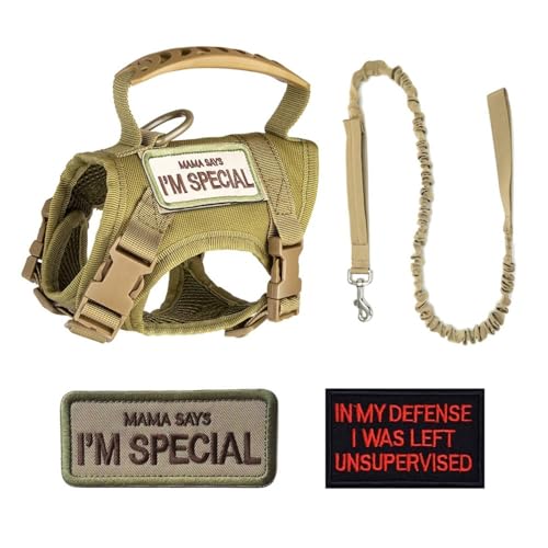 Katzengeschirr Leine,Taktisches Haustier Gehgeschirr Ausbruchsicher Atmungsaktiv Katzenwestengeschirre mit Buchstabenaufklebern für Katzen Hunde Katzengeschirr Leine,Taktisches Haustier Gehgeschirr Ausbruchsicher Atmungsaktiv Katzenwestengeschirre mit Buchstabenaufklebern für Katzen Hunde von MiOYOOW