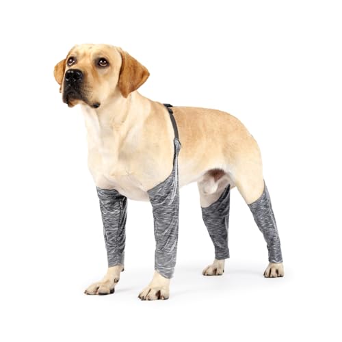 MiOYOOW Hunde Recovery Sleeve, Verhindert Lecken Hunde Bein Gelenkbandage Wasserdicht Verstellbar Vorder und Hinterbein Erholungsanzug für Kleine, Mittelgroße und Große Hunde von MiOYOOW