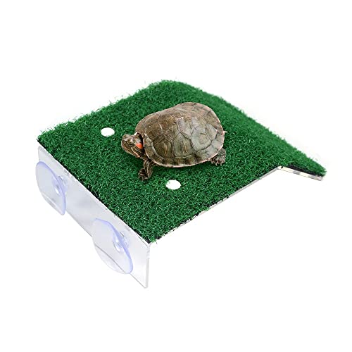 Schildkrötenbadeplattform Simulations Rasenbadeplattform Schildkröte Rampe Plattform Aquarium Schildkröten Kletterleiter für Aquarium Dekoration von MiOYOOW