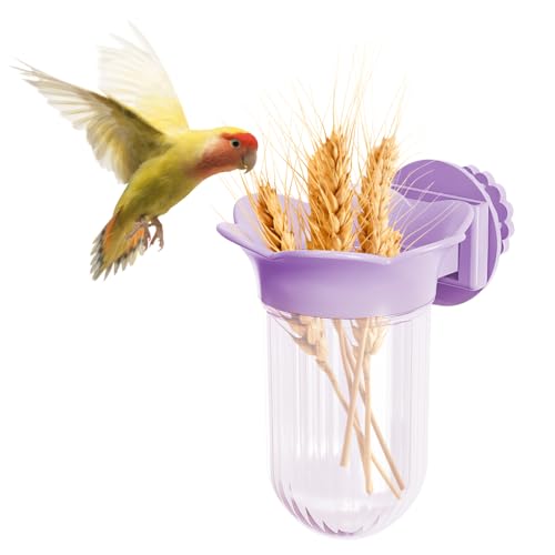 Vogelnapf, Süßer Papageien Futterspender in Tulpenform mit Schnellmontageclip, Tiefer Futternapf zum Einlegen von Gemüse, Getreide, Käfig, Sittich Vogelnapf, Süßer Papageien Futterspender in Tulpenform mit Schnellmontageclip, Tiefer Futternapf zum Einlegen von Gemüse, Getreide, Käfig, Sittich von MiOYOOW