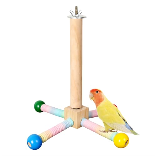 Vogelstange, 360 ° Drehbarer Papageienständer, Sitzstange aus Holz, Vogelkäfig Stehspielzeug für Nymphensittiche, Sittiche, Liebesvögel, Finken, Papageien von MiOYOOW