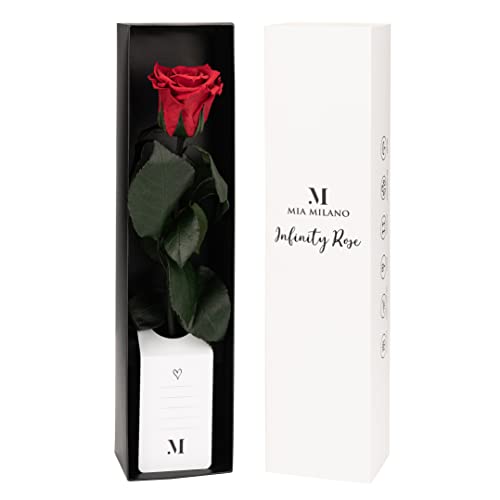 Infinity Rose rot am Stiel (3 Jahre haltbar) in Geschenkbox I Valentinstag Deko Geschenk I Eine konservierte Blume mit Rosenduft I Inkl. Geschenkkarte von Mia Milano