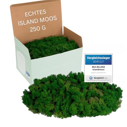 Mia Milano Islandmoos konserviert dunkkelgrün I Moos Deko zum Basteln I 250g Echtes dunkelgrünes Dekomoos Isländisch für Moosbild, Mooswand lebend von Mia Milano