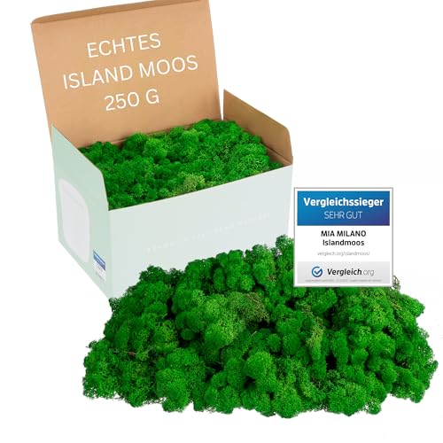 Mia Milano slandmoos konserviert naturgrün I Moos Deko zum Basteln I 250g Echtes naturgrünes Dekomoos Isländisch für Moosbild, Mooswand lebend von Mia Milano