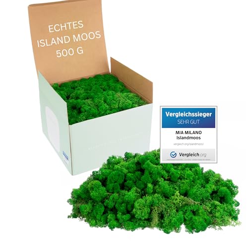Mia Milano Islandmoos naturgrün konserviert I Moos Deko zum Basteln I 500g Echtes Dekomoos Isländisch für Moosbild, Mooswand lebend von Mia Milano