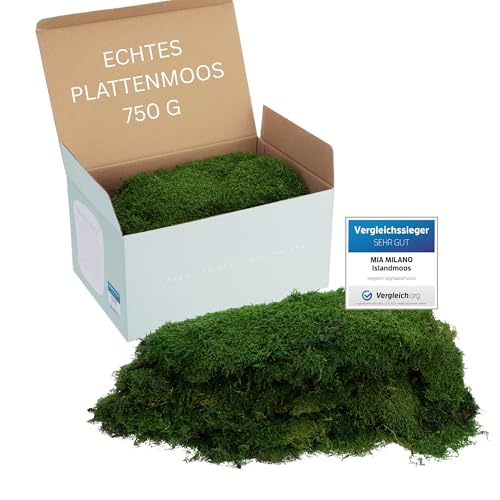 Plattenmoos konserviert dunkelgrün | Deko Wand Moos Platten haltbar | DIY Moosbild selber Machen | 750g Dunkelgrüne Natur Moosmatte lebend in Grün von Mia Milano
