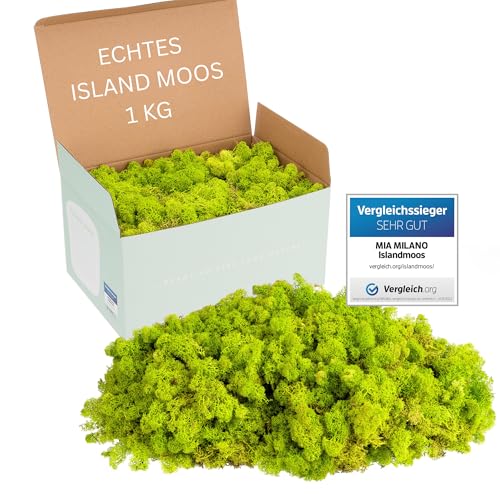 Mia Milano Islandmoos hellgrün konserviert | Moos Deko zum Basteln | 1kg Echtes Dekomoos Isländisch für Moosbild, Mooswand lebend von Mia Milano