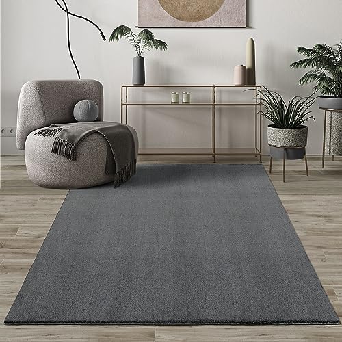 Paco Home Mias Teppiche Comfort Moderner Flauschiger Kurzflor Teppich, Anti-Rutsch Unterseite, Waschbar bis 30 Grad, Super Soft, Felloptik, Anthrazit, 120 cm Rund von Mias Teppiche