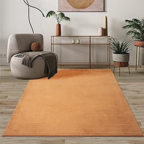 Paco Home Mias Teppiche Comfort Moderner Flauschiger Kurzflor Teppich, Anti-Rutsch Unterseite, Waschbar bis 30 Grad, Super Soft, Felloptik, Grün, 120 cm Rund von Mias Teppiche