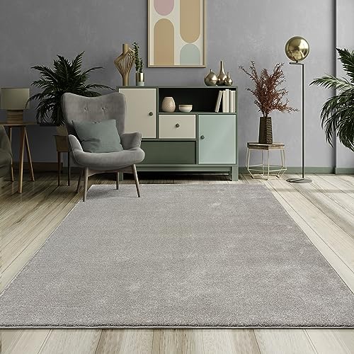 Mia's Teppiche Emely Moderner Weicher Kurzflor (17 mm) Wohnzimmer Teppich - Silber - 80x150 cm von Mias Teppiche