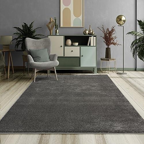 Mia's Teppiche Emely Moderner Weicher Kurzflor (17 mm) Wohnzimmer Teppich - Anthrazit - 80x150 cm von Mias Teppiche
