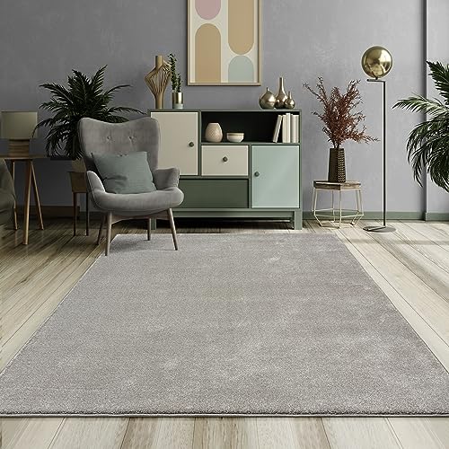 Mia´s Teppiche Emely Moderner Weicher Kurzflor (17 mm) Wohnzimmer Teppich - Silber - 120x170 cm von Mias Teppiche