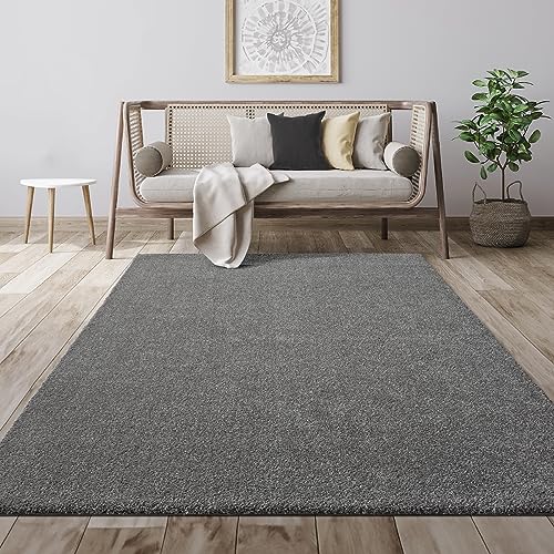 Mia´s Teppiche Giant Moderner Flauschiger Dichter Kurzflor Wohnzimmer Teppich, Supersoft Feeling, Melange Effekt, Eleganter Glanz von Mias Teppiche