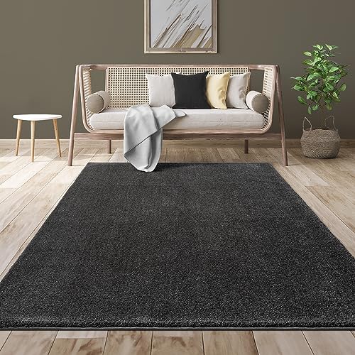 Mia´s Teppiche Giant Moderner Flauschiger Dichter Kurzflor Wohnzimmer Teppich, Supersoft Feeling, Melange Effekt, Eleganter Glanz von Mia´s Teppiche