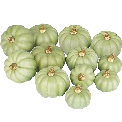 Miaikoe Künstliche Kürbisse 12Pcs Verschiedene Größen Bulk Grüne Ernte Lebensechte Kürbis gefälschte Schaum Kürbisse Set für Herbst Herbst Halloween Party Thanksgiving Urlaub Dekor Anzeige von Miaikoe