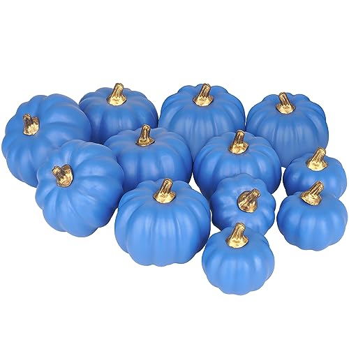 Miaikoe Künstliche Kürbisse 12Pcs Verschiedene Größen Bulk Marineblaue Ernte Lebensechte Kürbis gefälschte Schaum Kürbisse Set für Herbst Herbst Halloween Party Thanksgiving Urlaub Dekor Anzeige von Miaikoe