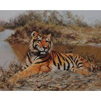 David Shepherd Vintage Print 1989 | "Tiger in Der Sonne" | 1976 Wohnkultur Königstiger Wandkunst Kunstdruck Wanddekoration von MibgenPrints