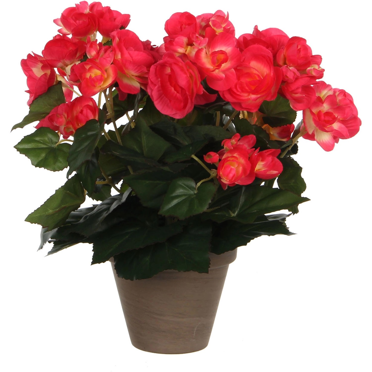 Kunstblume Begonia Dunkelrosa Topf-Ø 11,5 cm H 30 cm, Ø: 25 cm Kunstblume Begonia Dunkelrosa Topf-Ø 11,5 cm H 30 cm, Ø: 25 cm von Mica Decorations